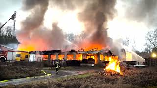 Lagerhalle bei Hardegsen in Flammen: Feuerwehr, Rettungsdienst, Polizei und THW im Einsatz