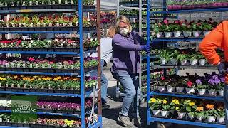 Pocono Farmstand Nursery, Route 611, Tannersville PA "Spring2021"