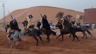 #ركب الخيل في زاوية الابيض سيدي الشيخ