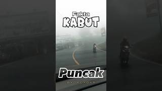 Fakta KABUT di Daerah Puncak Bogor | Pengendara wajib hati-hati‼️#shorts #puncak #bogor #rider #trip