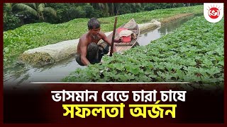 নাজিরপুরে ভাসমান বেডে চারা চাষে সফলতা অর্জন  | Floating Bed Agriculture  | Daily Vorer Akash