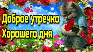 🌞Самого доброго летнего утра!💗 Благословенного дня!💗Красивая музыкальная открытка