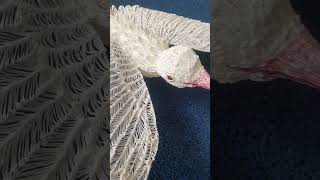 3d Pen Bird | #3dpen #3dpenart #art #crafting #sculpting #bird #whitebird #dove