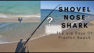 Shovel Nose Shark Had My Reel Screaming!! - Preston Beach Day Trip