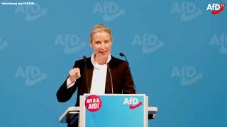 🥊Weidel attackiert... Ampel in Schockstarre..