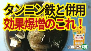 タンニン鉄作り方と使い方。0円でできる二価鉄活力剤のタンニン鉄は古鉄とお茶の葉があれば作れます。さらに効果爆増のためにクエン酸を併用します。10/9