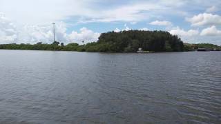 [Sailing] Dolphins close up!