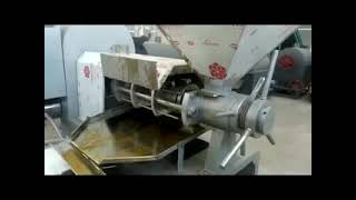 Our peanut oil pressing machine is being tested 008613733663101