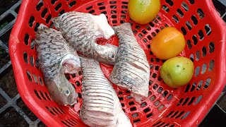 Countryside Cook Braised Fish with Tomato || Countryside Food ||