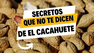 3 Razones por las que los Cacahuetes son el Secreto para una Vida más Saludable