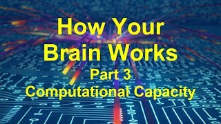 How Your Brain Works Part 3: Computational Capacity