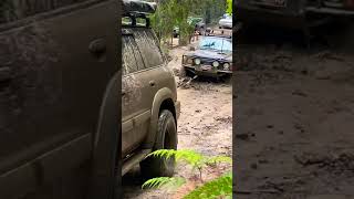 GU Patrol pulls bogged GQ | 4X4 Sri Lankan in Australia #shorts