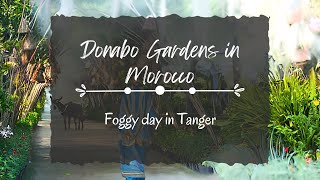 Donabo Gardens in Morocco. Foggy day in Tanger. An open point of view of Cape Spartel and Achakar.