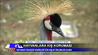 HAYVANAT BAHÇESİ SAKİNLERİ İÇİN KIŞLIK ÖNLEMLER ALINDI