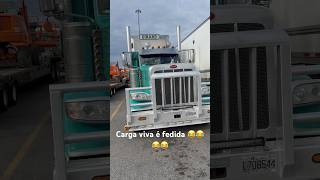 #caminhaoamericano #brasileironocanada #truckdriver #canada #truckdriverjobs #truckdriver