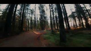 DJI AVATA - GRENOSIDE WOODS