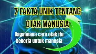 7 Fakta unik tentang otak manusia, seperti apa otak itu bekerja