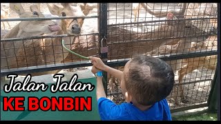 jalan jalan ke bonbin