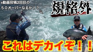 【三重県・白浦磯】ガチャガチャ攻略！豆アジ、小鯖全然怖くない！！動画投稿２回目の50センチオーバーグレとなるか？