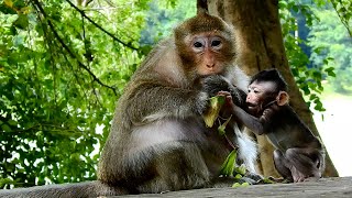 Mom Tara sharing fruit to baby Tia