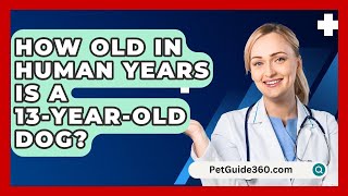 How Old In Human Years Is A 13-Year-Old Dog? - PetGuide360.com