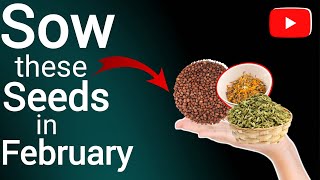 You must sow these seeds in february | what to sow in February