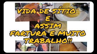 VIDA DE SÍTIO É ASSIM//MUITA FARTURA E MUITO TRABALHO! FIZEMOS CURAL OLHEM..