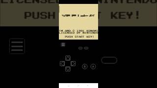 Nintendo Gameboy Emulator Boot up and Game intro