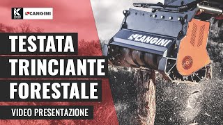 Testata Trinciante Forestale Force One | Cangini Benne