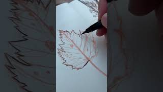 Drawing Practice with leaves can be a great way get better at your art #drawing