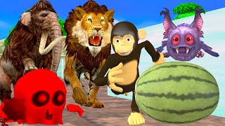 Funny Monkey Maze Escape Monster Lion vs Funny Monkey Temple Run Deathrun Funny Wild Animal Cartoon