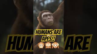 Humans did not evolve from apes! WE ARE Apes! Top Evolution Myths Busted 🔥