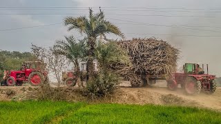 Dangerous and Best Tractor Stunt || Belarus Tractors Heavy Loaded Sugarcane Trolley || Brave Driver