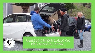 Questo cambia tutto ciò che pensi sul cane.