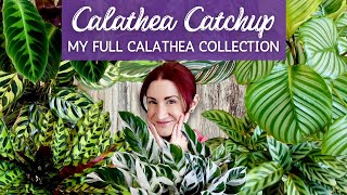 Winter Is Coming! Calathea Catchup: Who's Looking Strong As We Head Into Winter + Calathea Care Tips