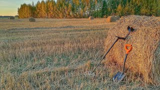 в три лопаты веселее! В поиске клада)))