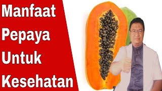 6 Manfaat buah pepaya untuk kesehatan tubuh kita