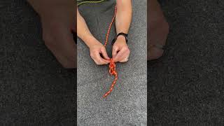 Most satisfying knot #shortsvideo #bushcrafting #knots