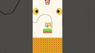 protect my pet level-5 #gaming #game