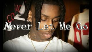 [FREE] (Pain) Type Beat ''Never Let Me Go'| Polo G