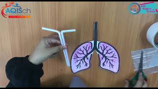 Kindergarten: Interactive Lung Model Craft