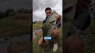 The PLACE To CATCH BIG And TONS Of Bass🤯(Must Try)