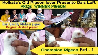 Kolkata's OLD & Original Arshad  Pigeon || prasanto Roy pigeon loft visit ||