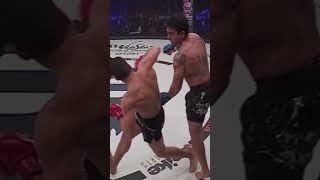 Wild spining ko #viral #amazing #crazyvideo #mma #ufc #crazy #boxing