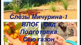 Обустройство сада | целина |снимаем верхний слой почвы, сеем газон