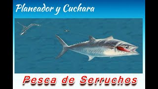 Tecnica para pescar Serrucho: Cuchara y Planeador