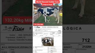 New Record Holder Cow Gave 132.2kg @pdfapunjab1 #vetvlogs #Brazil #2023 #pedigree