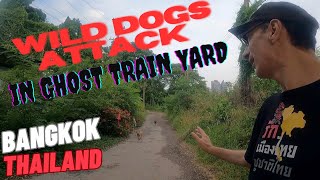 Wild Dogs Attack in Ghost Train Yard - Makkasan, Bangkok, Thailand 🇹🇭