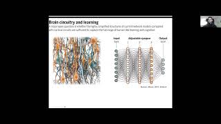 ActInf MorphStream 002.1 ~ Alon Loeffler "From Neuromorphic Nanowire Networks to Neurons"