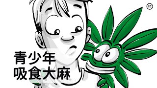 大麻對青少年大腦的影響